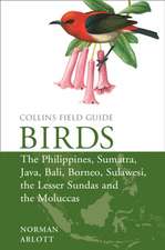 Arlott, N: Birds of the Philippines