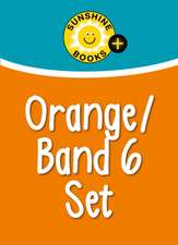 Orange Set