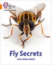 Welsh, C: Fly Secrets