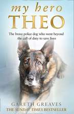 My Hero Theo