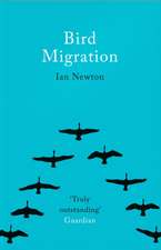 BIRD MIGRATION PB