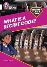 Shinoy and the Chaos Crew: What is a secret code?