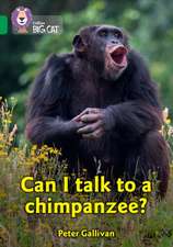 Can I talk to a chimpanzee?