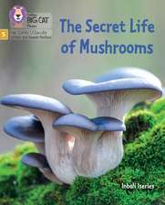 Iserles, I: Secret Life of Mushrooms