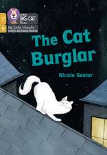 The Cat Burglar