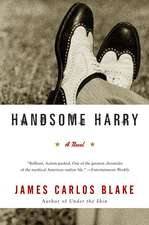 Handsome Harry: A Novel