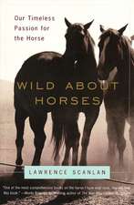 Wild About Horses