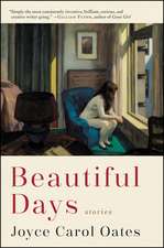 Beautiful Days: Stories