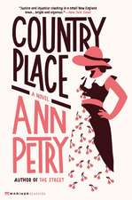 Country Place: A Novel