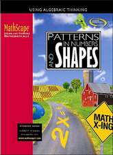 Patterns in Numbers and Shapes: Using Algebraic Thinking