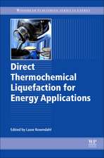 Direct Thermochemical Liquefaction for Energy Applications