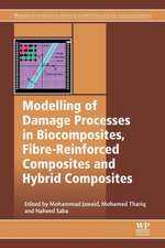 Modelling of Damage Processes in Biocomposites, Fibre-Reinforced Composites and Hybrid Composites