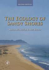 The Ecology of Sandy Shores