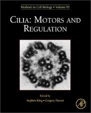 Cilia: Motors and Regulation