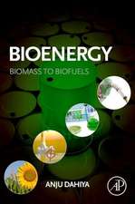 Bioenergy: Biomass to Biofuels