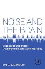 Noise and the Brain: Experience Dependent Developmental and Adult Plasticity