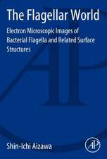 The Flagellar World: Electron Microscopic Images of Bacterial Flagella and Related Surface Structures