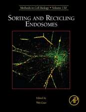 Sorting and Recycling Endosomes