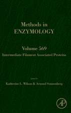 Intermediate Filament Associated Proteins