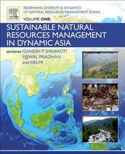 Redefining Diversity and Dynamics of Natural Resources Management in Asia, Volume 1: Sustainable Natural Resources Management in Dynamic Asia