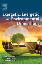 Exergetic, Energetic and Environmental Dimensions