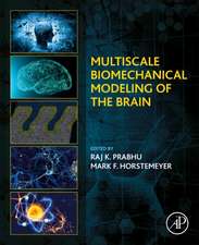 Multiscale Biomechanical Modeling of the Brain