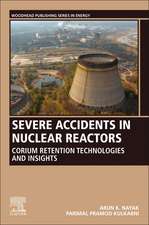 Severe Accidents in Nuclear Reactors: Corium Retention Technologies and Insights