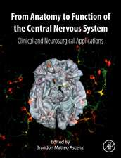 From Anatomy to Function of the Central Nervous System