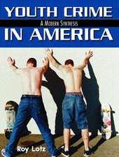 Youth Crime in America: A Modern Synthesis