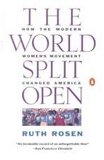 The World Split Open: How the Modern Women's Movement Changed America