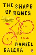 The Shape of Bones: A Novel