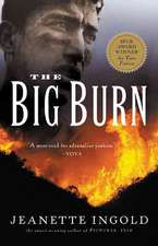 The Big Burn