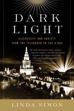 Dark Light: Electricity and Anxiety from the Telegraph to the X-ray