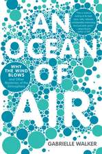 Ocean Of Air, An: Why the Wind Blows and Other Mysteries of the Atmosphere