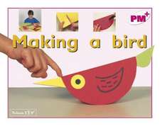 Making a Bird PM Plus Magenta 1 Non Fiction