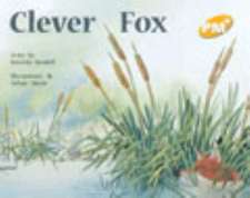 Clever Fox PM PLUS Level 6 Yellow