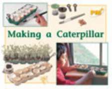 Making a Caterpillar PM PLUS Non Fiction Level 8&9 The Environment Yellow