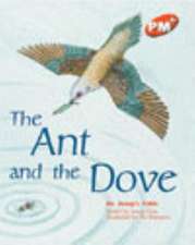 Ant And The Dove PM PLUS Orange 15