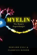 Myelin: The Brain's Supercharger