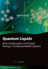 Quantum Liquids: Bose Condensation and Cooper Pairing in Condensed-Matter Systems