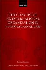 The Concept of an International Organization in International Law