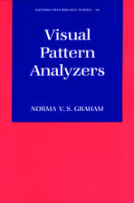 Visual Pattern Analyzers