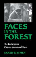 Faces in the Forest: The Endangered Muriqui Monkeys of Brazil