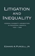 Litigation and Inequality