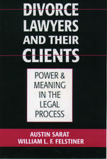 Divorce Lawyers and Their Clients: Power and Meaning in the Legal Process