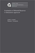 Evaluation of Mineral Reserves: A Simulation Approach