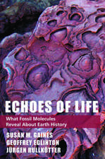 Echoes of Life: What Fossil Molecules Reveal about Earth History