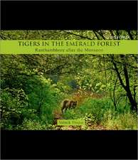 Tigers in the Emerald Forest