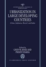 Urbanization in Large Developing Countries: China, Indonesia, Brazil, and India