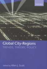 Global City-Regions: Trends, Theory, Policy